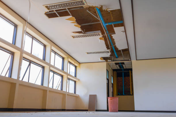 Best Professional water damage repair  in Melcher Dallas, IA