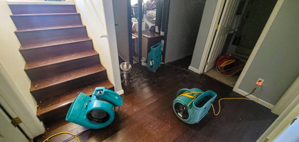 Best Basement water damage restoration  in Melcher Dallas, IA