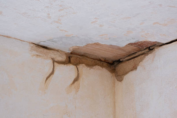 Best Flooded house restoration  in Melcher Dallas, IA