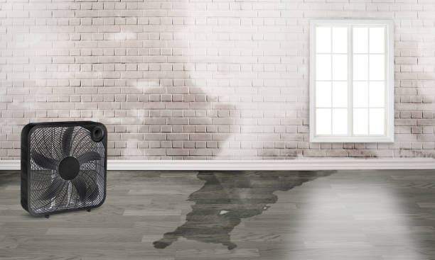  Melcher Dallas, IA Water damage restoration Pros