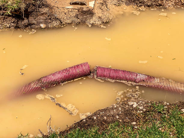 Water damage restoration mold remediation in Melcher Dallas, IA