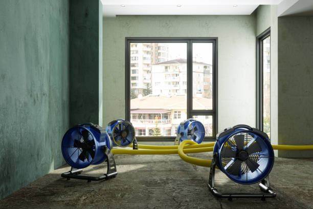 Best Water damage restoration near me  in Melcher Dallas, IA